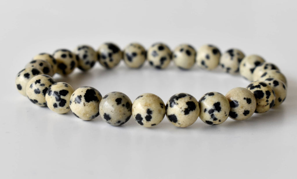 Dalmatian Jasper | Gemstone Bracelet: 6mm