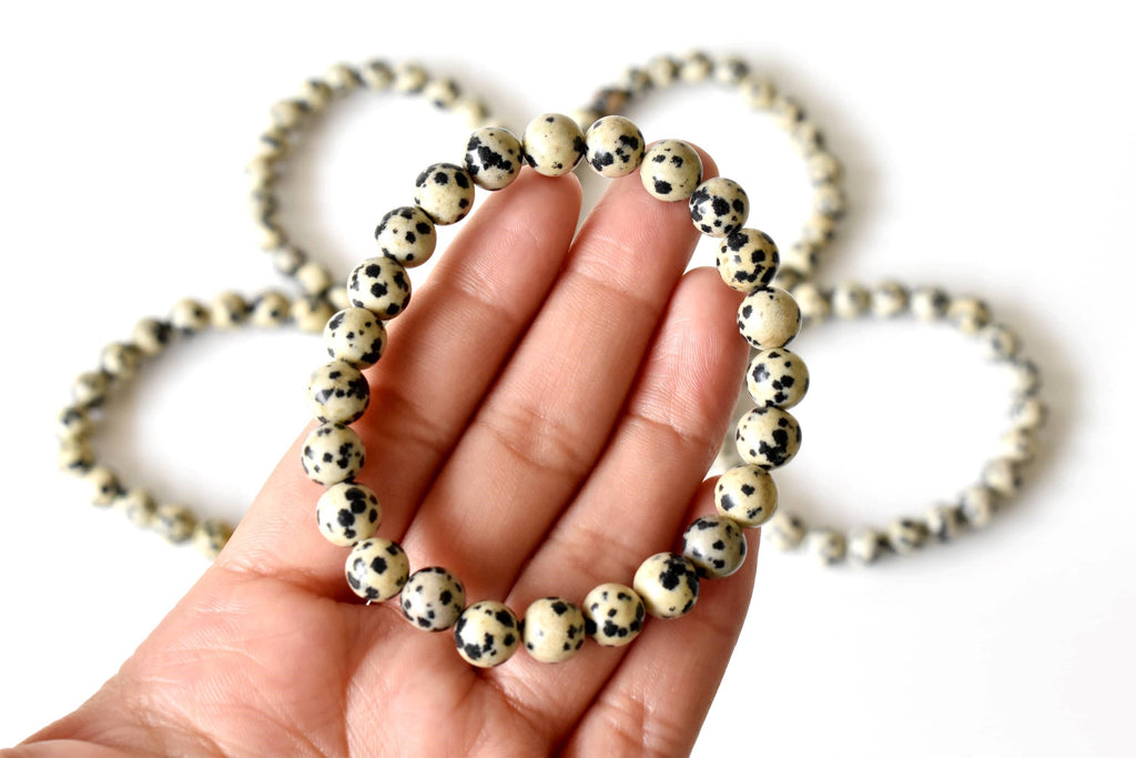 Dalmatian Jasper | Gemstone Bracelet: 6mm