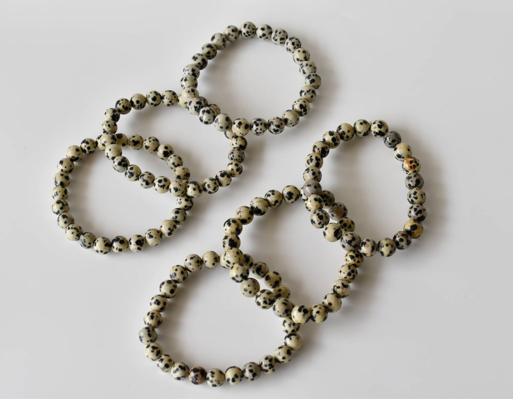Dalmatian Jasper | Gemstone Bracelet: 6mm