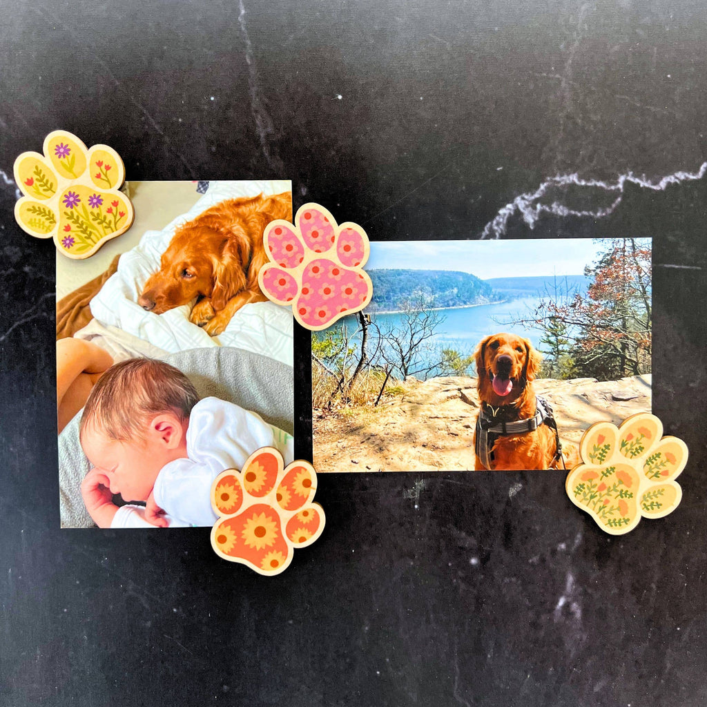Summer Flowers Dog Paw Print Magnet Set