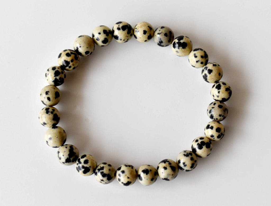 Dalmatian Jasper | Gemstone Bracelet: 6mm