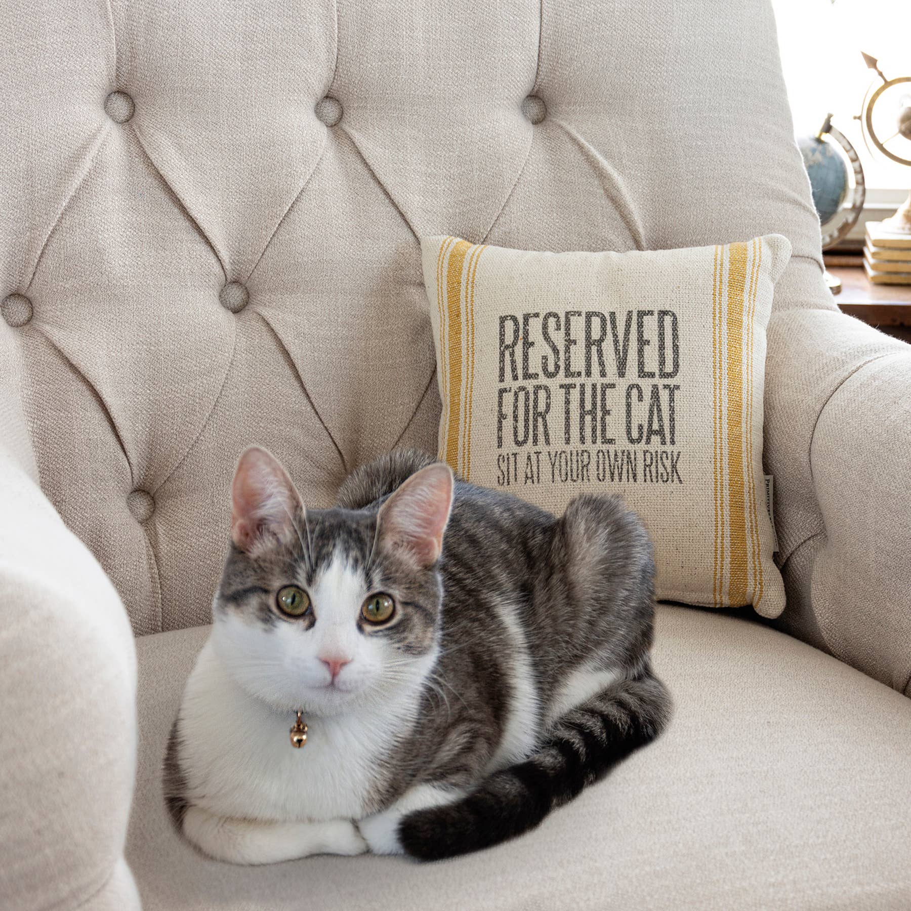 Reserved For The Cat Pillow