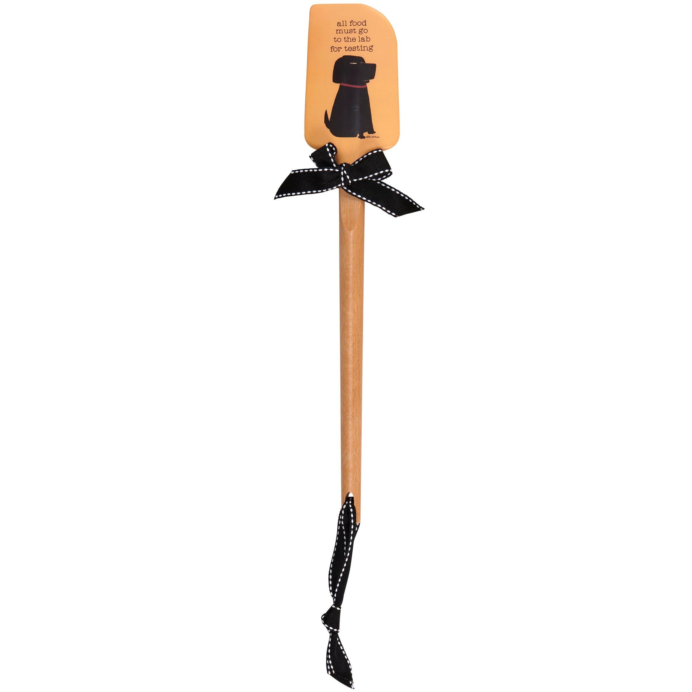Lab For Testing Spatula